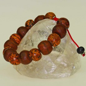 Beautiful Bracelet with Bodhi Tree Seeds